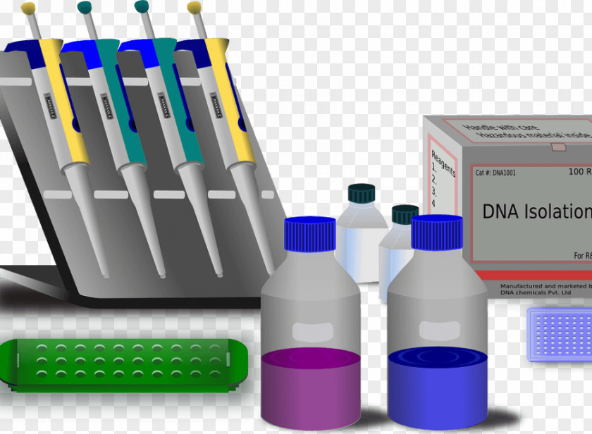 Genetic Testing Molecular Biology Molecule Genetics Polymerase Chain Reaction PNG