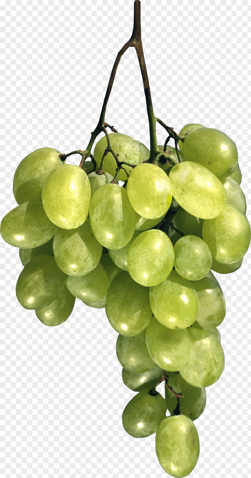 Green Grape Image Common Vine Moscow Cafe Breakfast PNG