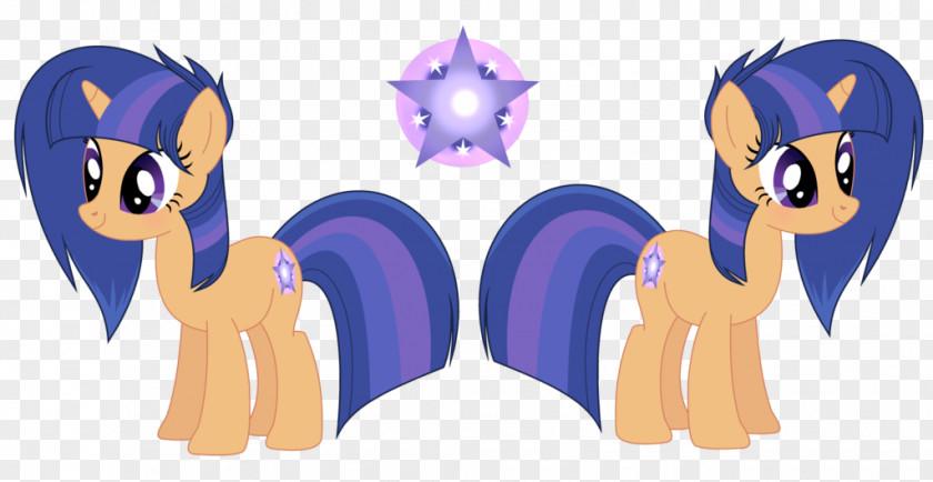My Little Pony Twilight Sparkle Rarity Princess Luna Flash Sentry PNG