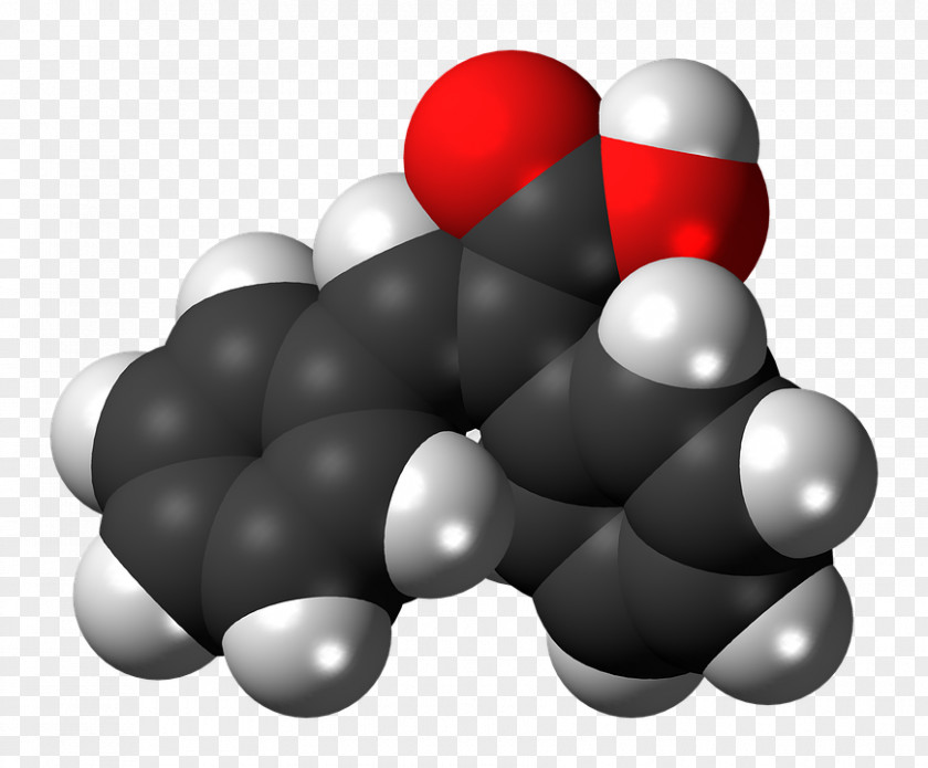 Fatty Acid Unsaturated Fat Alpha-Linolenic Alpha-Parinaric PNG