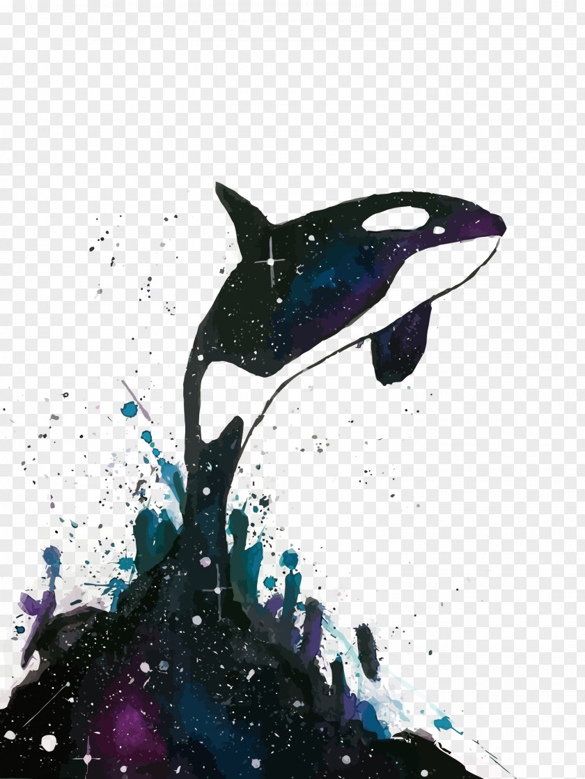 Vector Leap Of The Killer Whale PNG