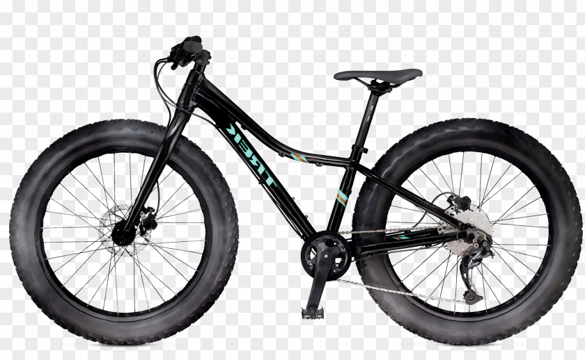 Electric Bicycle Vehicle Mountain Bike ECOTRIC FAT26S900 PNG
