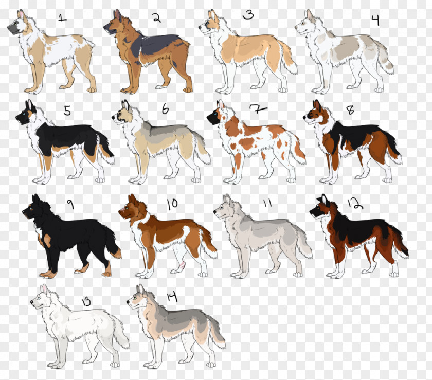 Kennel Club Dog Breed Wildlife Animal PNG