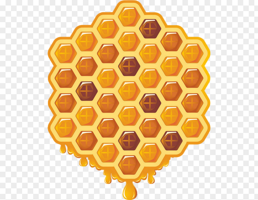 Pouring Honey Bee Vector Graphics Honeycomb Clip Art PNG