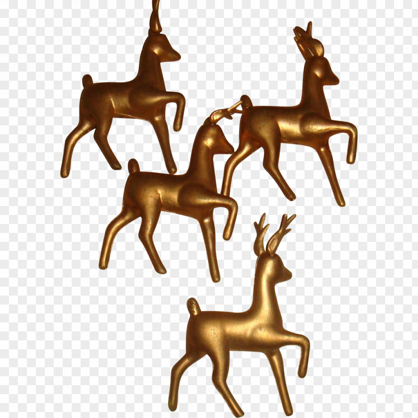 Raindeer Reindeer Wildlife Animal PNG