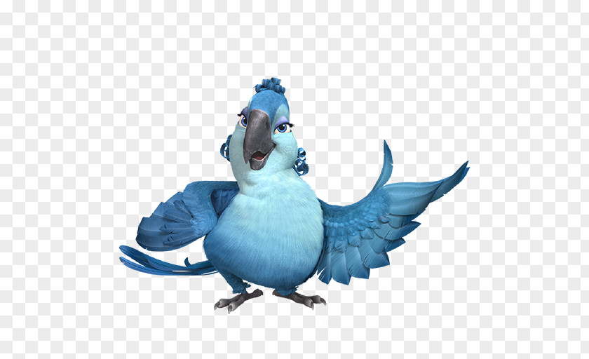 Rio2 Mimi Parrot Wing Common Pet Parakeet Beak PNG