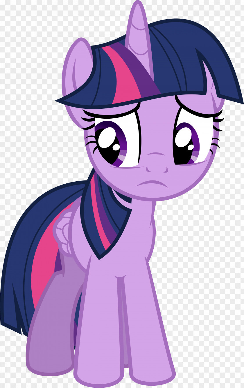 Sorry Rainbow Dash Twilight Sparkle Pony The Saga Horse PNG