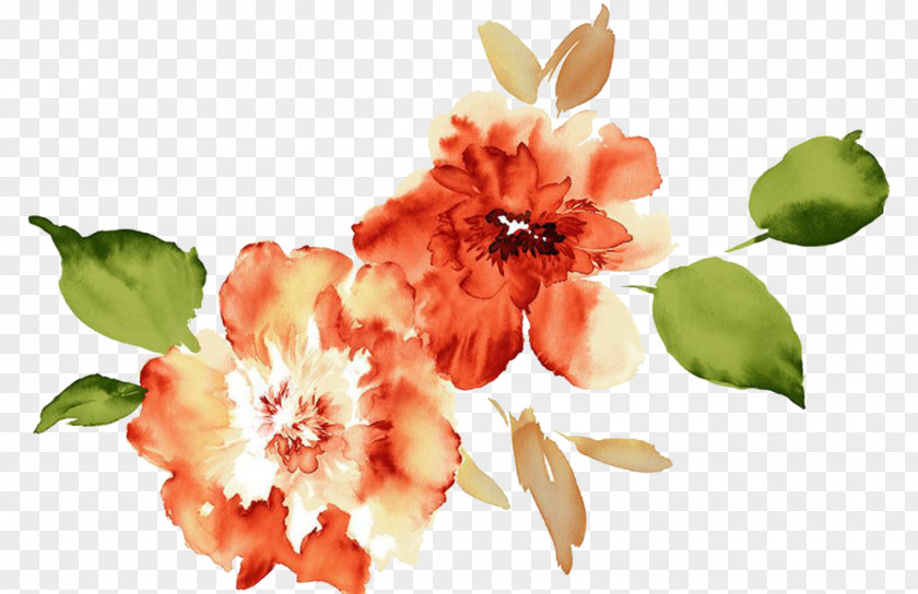 Watercolor Peony Watercolour Flowers Paper Painting PNG