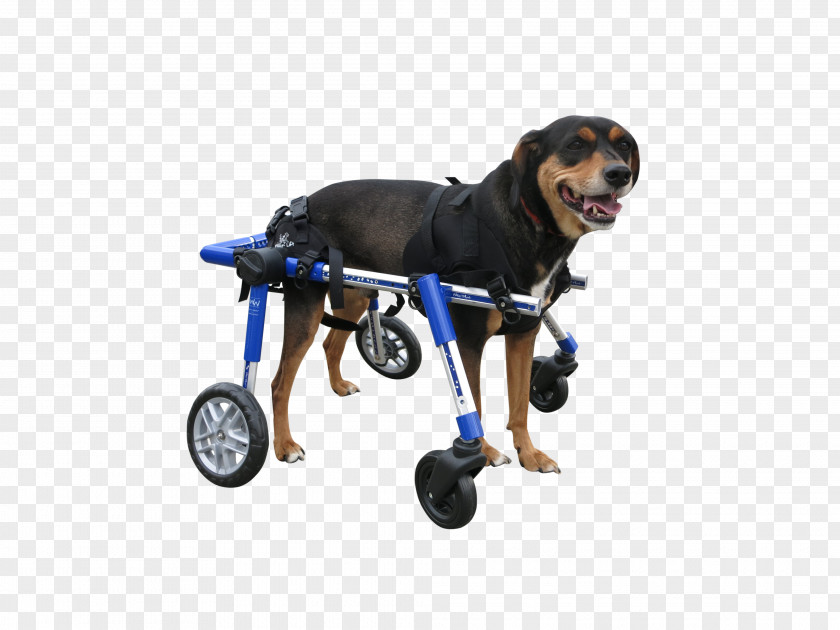 Wheelchair Dog Breed Dobermann Puppy Cane Corso PNG