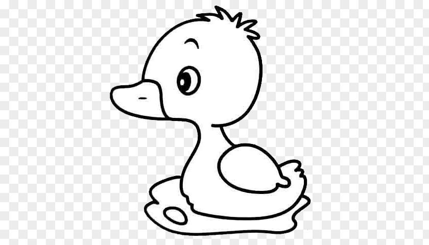 A Cute Little Duck American Pekin Mallard Cartoon Child PNG