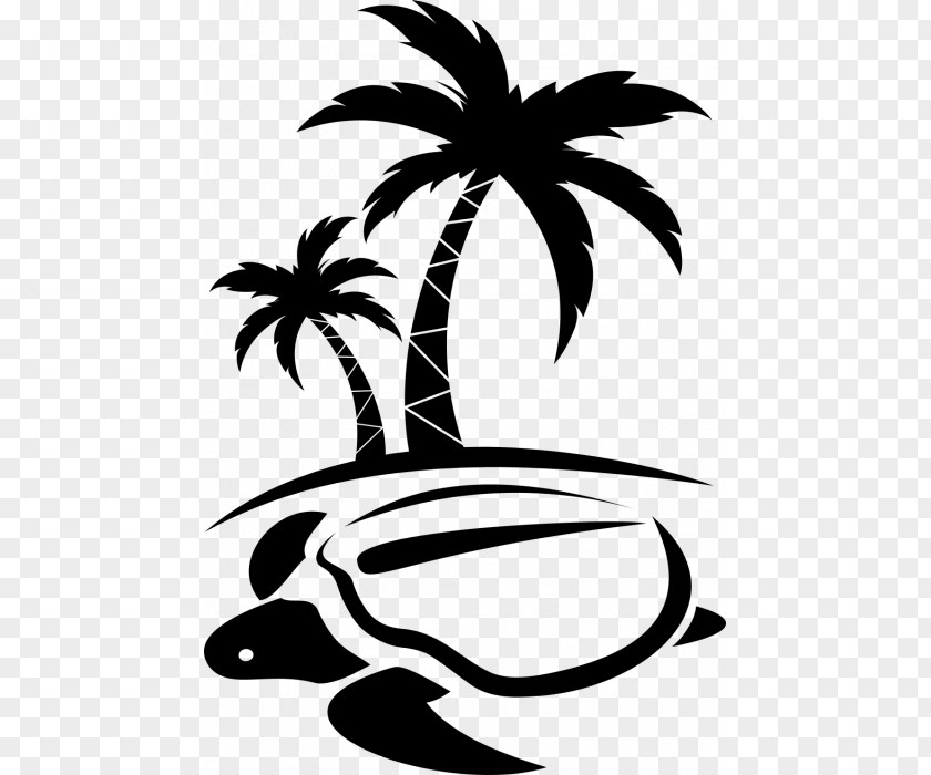 Coconut Logo Arecaceae PNG