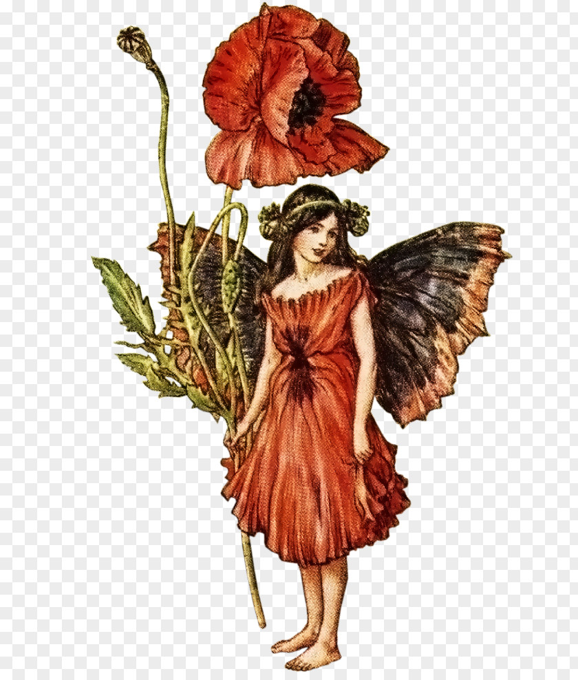 Fairy The Book Of Flower Fairies Croydon Summer Spring PNG