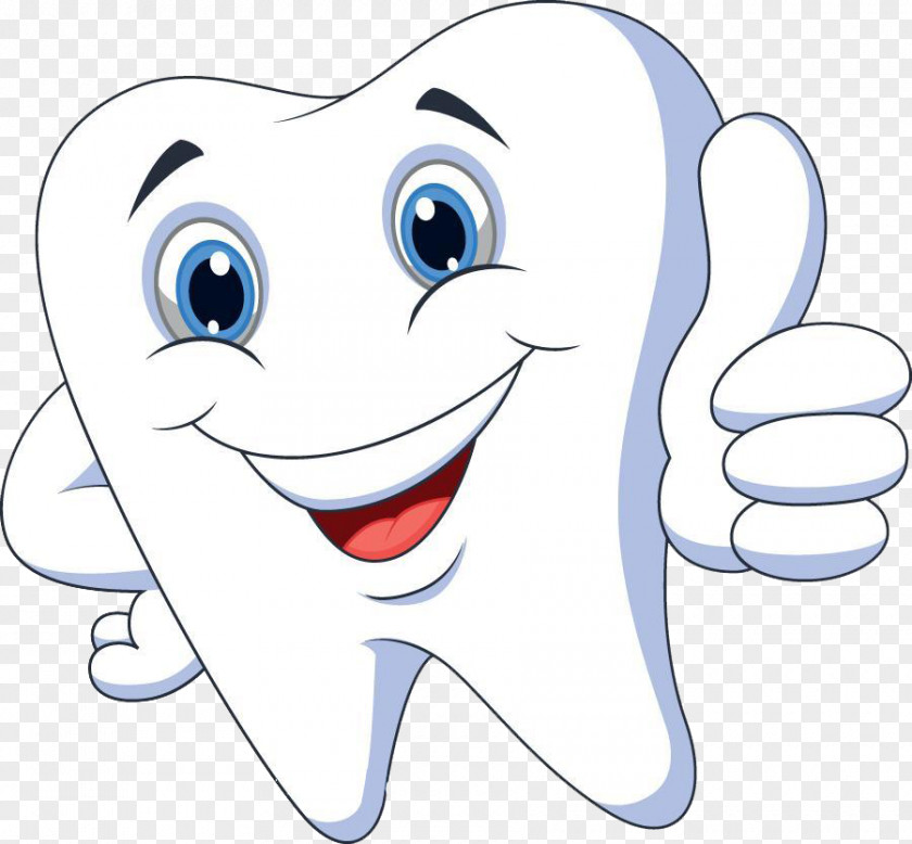 Healthy Teeth Cartoon Tooth Pathology Clip Art PNG
