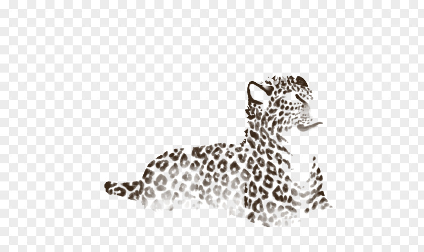 Leopard Jaguar Cheetah Whiskers White PNG