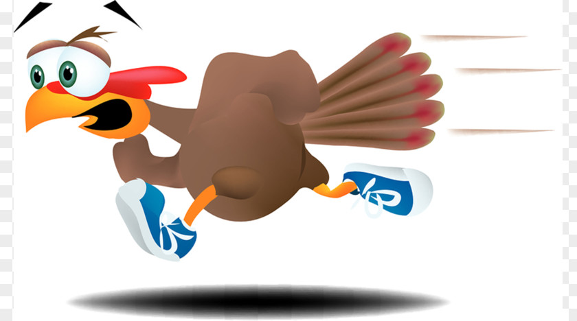 Racing Turkey Cliparts Trot 5K Run Running Walking Thanksgiving PNG