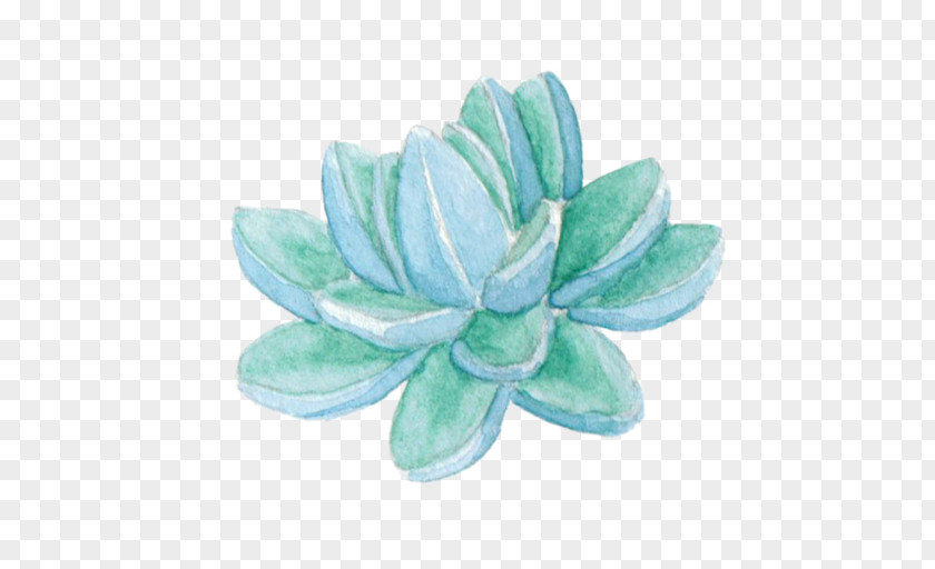 Succulant IPhone PNG