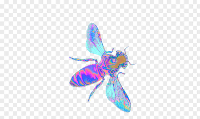 Butterfly Western Honey Bee Insect Beehive PNG
