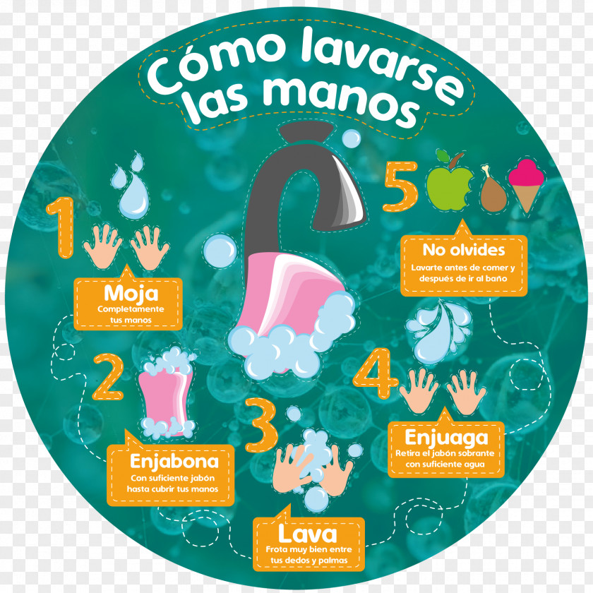 Hand Washing Infographic Illustration PNG