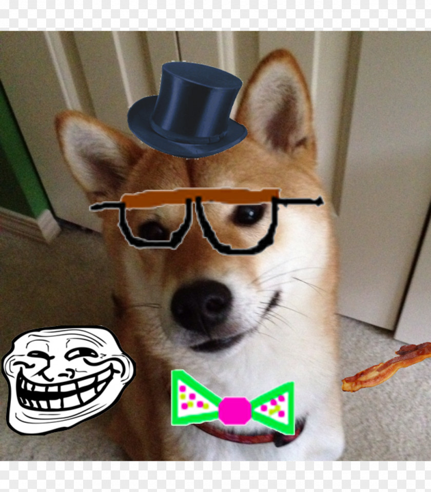 Shiba Inu Dog Breed Internet Hornswoggling Non-sporting Group (dog) PNG