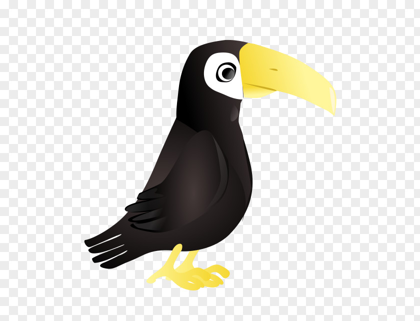 Toucan Toco Parrot Clip Art PNG