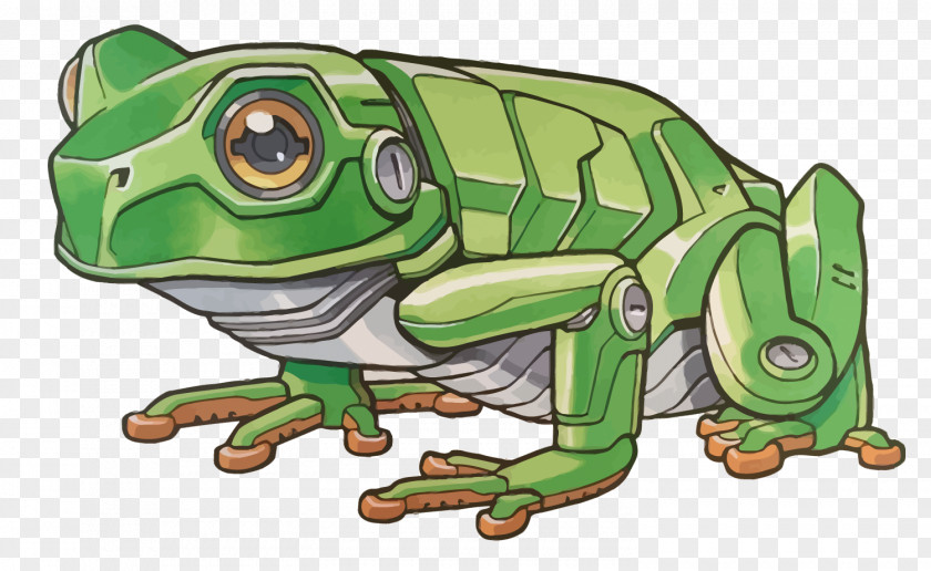 Vector Machinery Frogs True Frog Toad PNG