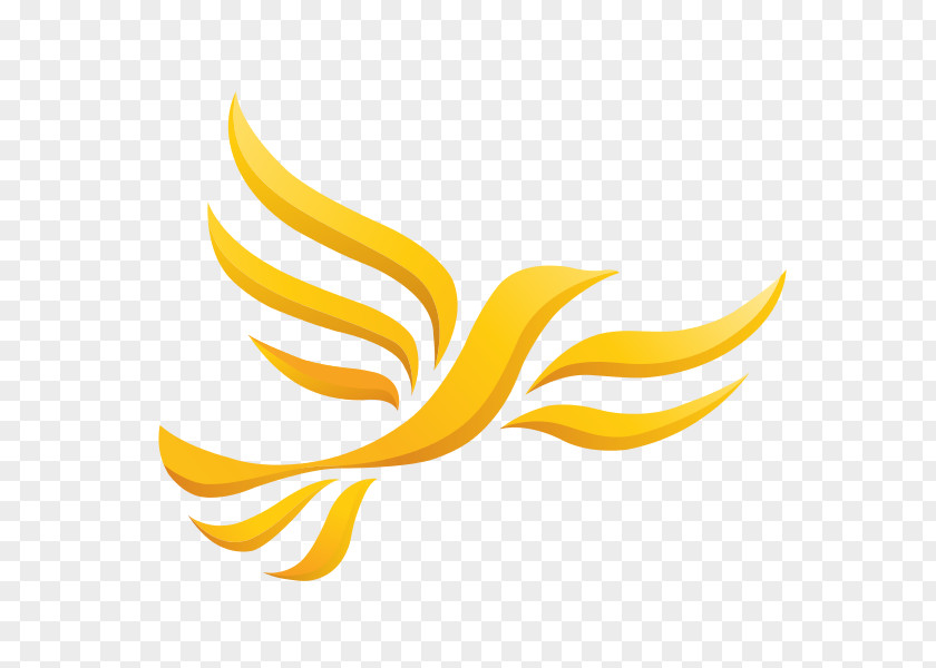 Wales Welsh Liberal Democrats Liberalism Maidstone And The Weald PNG