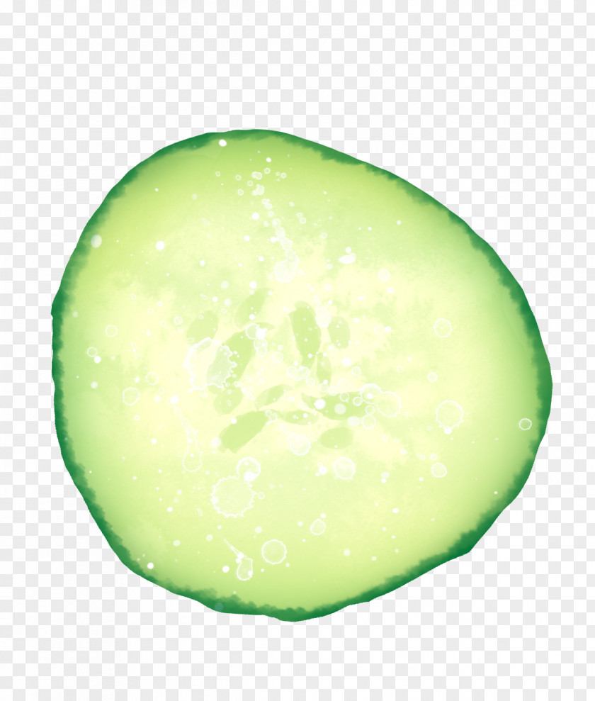 Cucumber Detailed Diagram Download Icon PNG