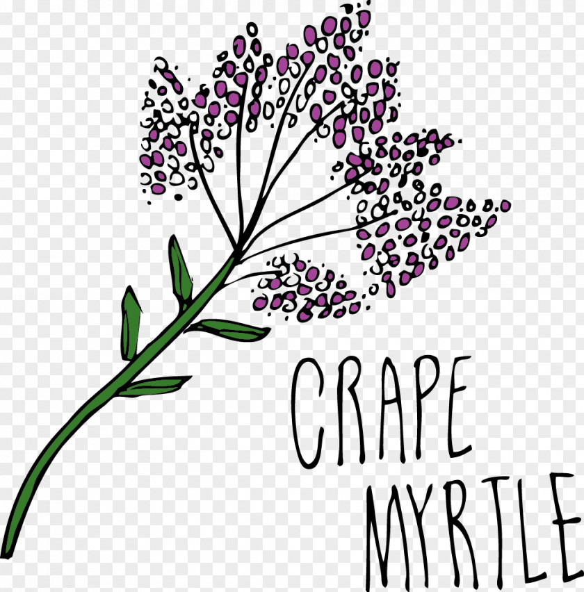 Cut Flowers Drawing Lettering PNG