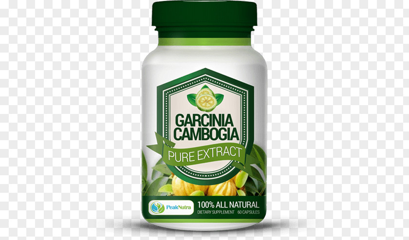 Garcinia Cambogia Dietary Supplement Extract Hydroxycitric Acid Kokum PNG