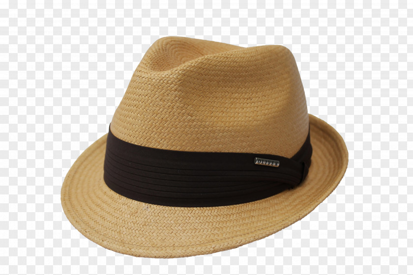 Hat Panama Fedora Trilby Cap PNG