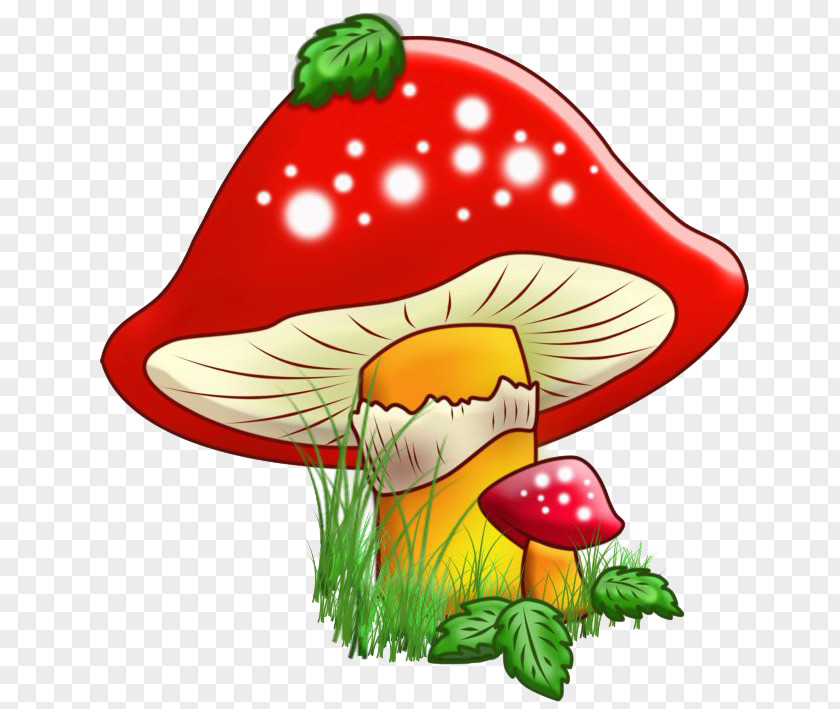 Mushroom Edible Drawing Fungus Illustration PNG