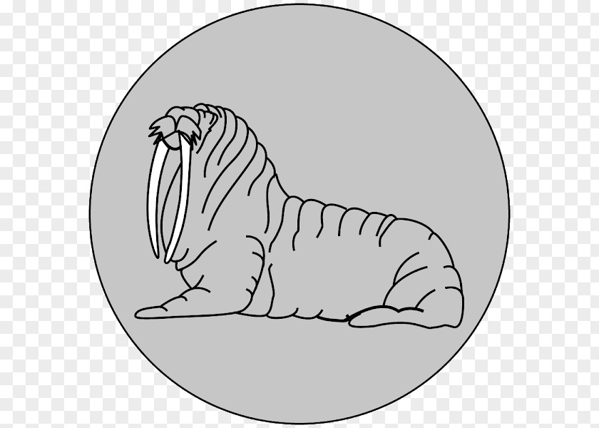 Tiger Whiskers Dog Walrus Bear PNG