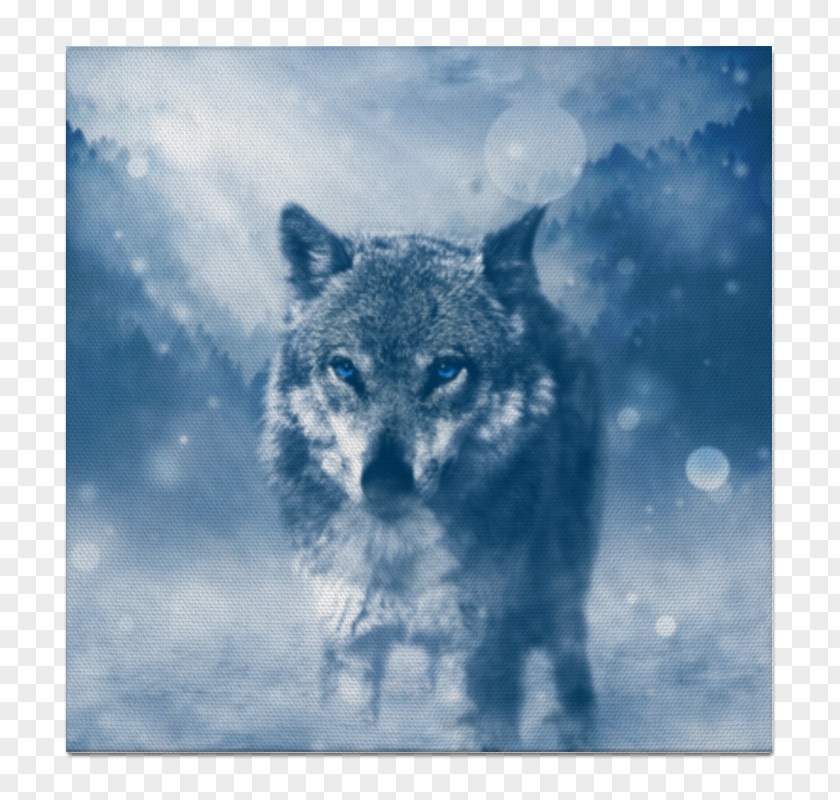 Winter Desktop Wallpaper Wolf Wallpapers High-definition Television 4K Resolution PNG
