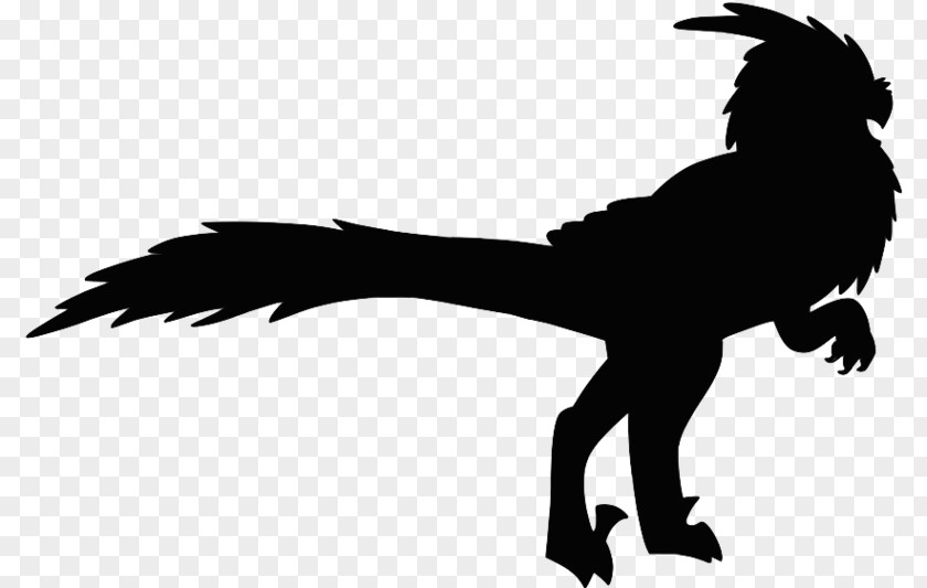 Bird Beak Tyrannosaurus Velociraptor Silhouette PNG