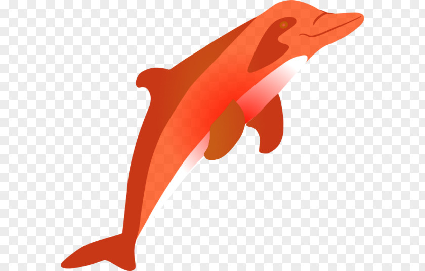 Dolphin Bottlenose Clip Art PNG