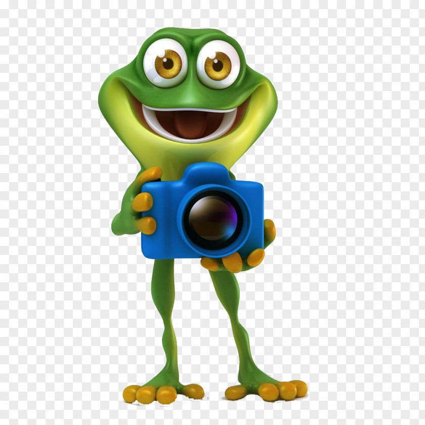 Holding The Camera's Frog Stock Photography Royalty-free Illustration PNG