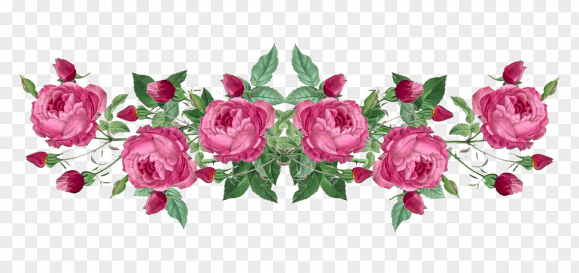 Petal Leaf Garden Roses PNG