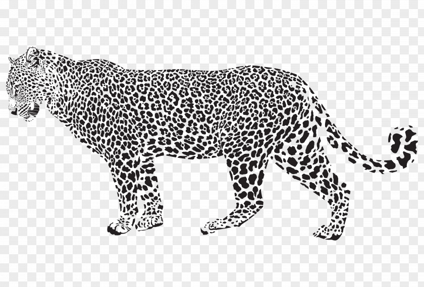 Spotted Leopard Jaguar Cheetah Clip Art PNG