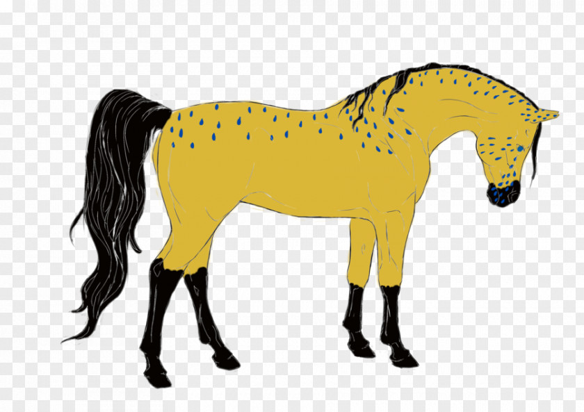 Anglo Arab Palomino Horses Macabre Mane Pony Mustang Art PNG