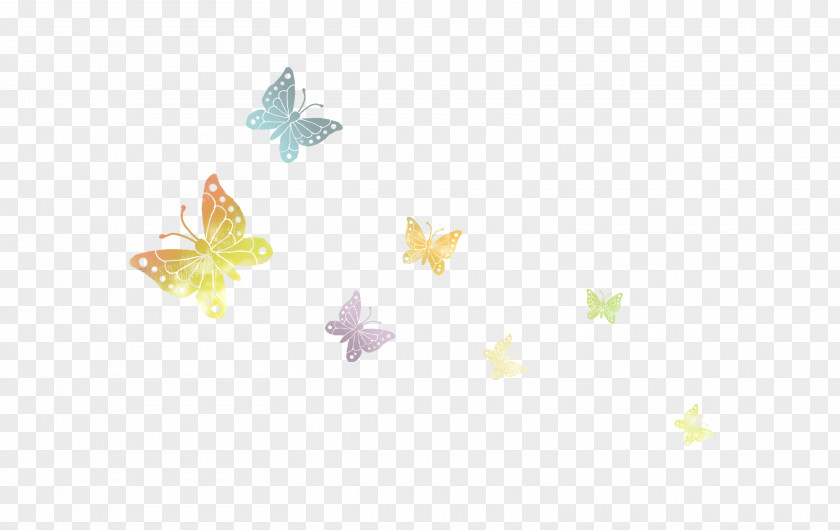 Butterfly Yellow Pattern PNG