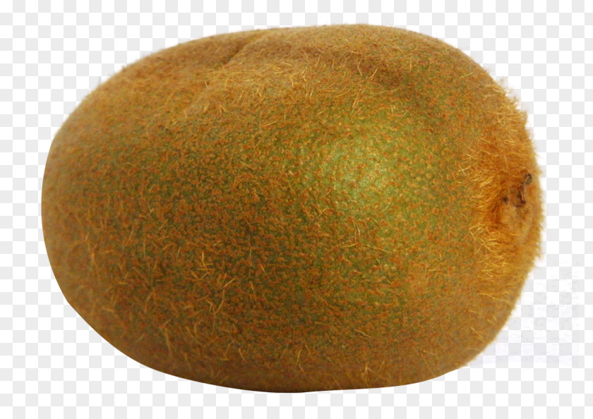 Clip Art Image Kiwifruit JPEG PNG