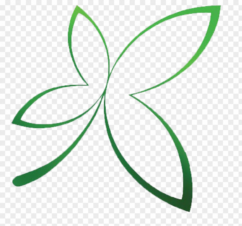 Leaf Green Line Plant Stem Clip Art PNG