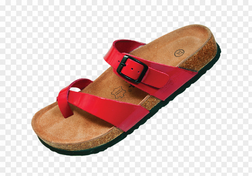 Malaysia Slipper Footwear Shoe Sandal Flip-flops PNG