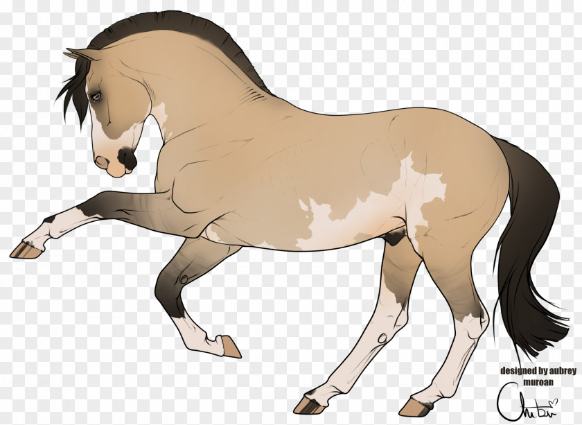 Mustang Mane Foal Stallion Mare Colt PNG