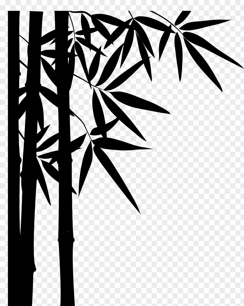 Stencil Twig Palm Tree Drawing PNG