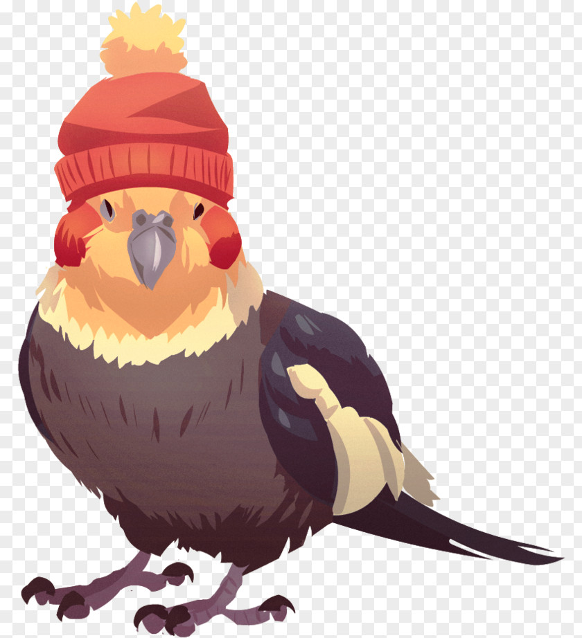 Animation Cockatiel Bird Cartoon Beak Parrot PNG