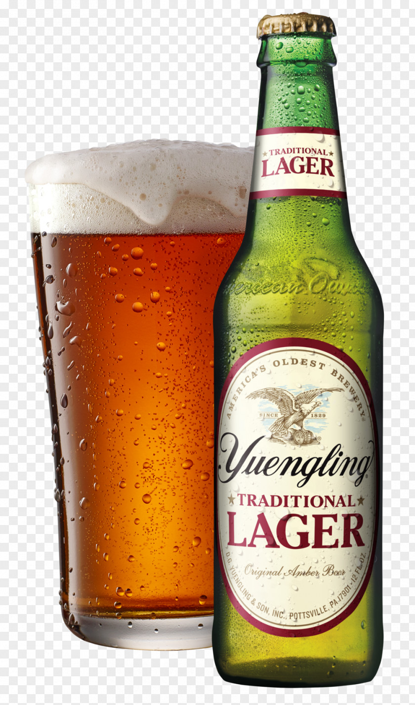 Beer Yuengling Lager Pilsner Brewery PNG
