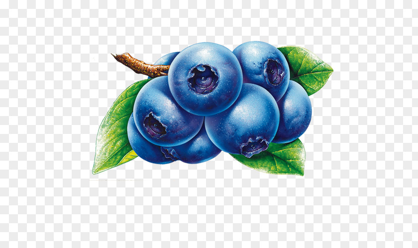 Blueberry Frutti Di Bosco Fruit Clip Art PNG