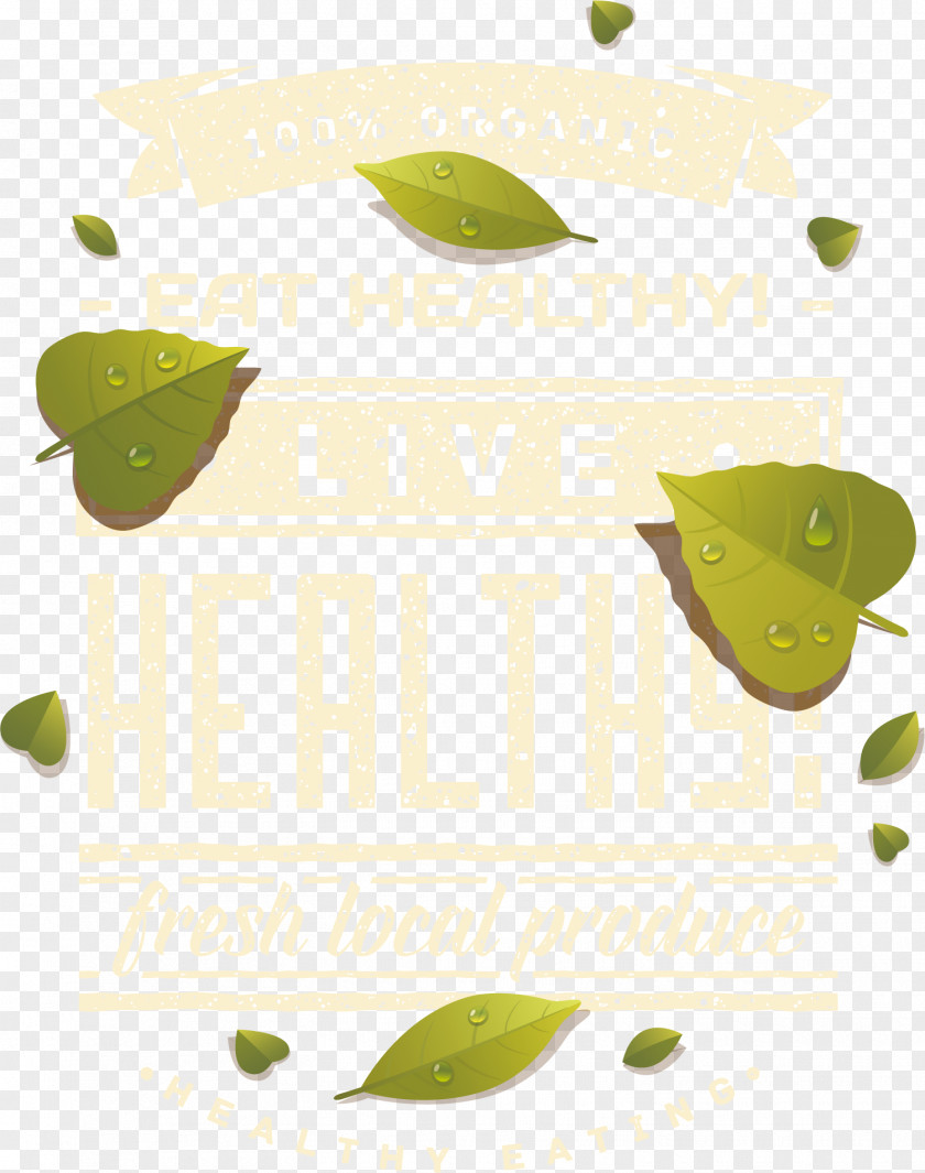 Hand-painted Green Vector Leaf PNG