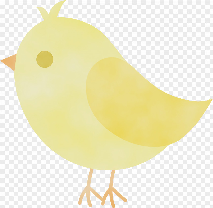 Perching Bird Beak Yellow Clip Art Chicken PNG